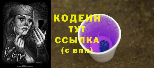 МДПВ Снежногорск