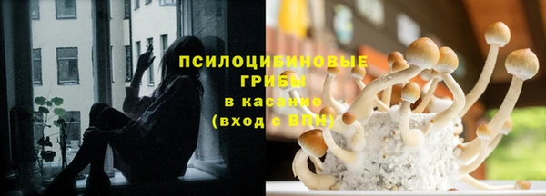 СК Верея
