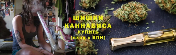 СК Волоколамск