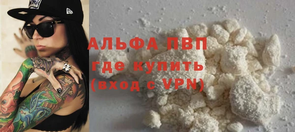 СК Волоколамск