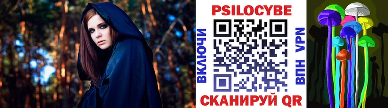 Псилоцибиновые грибы Cubensis  MEGA онион  Касимов  что такое  